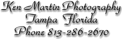 Wedding Photographer and Commercial Digital Event Photography Tampa Florida Serving the Tampa Bay Area - Ken Martin Photography 813-286-2670
